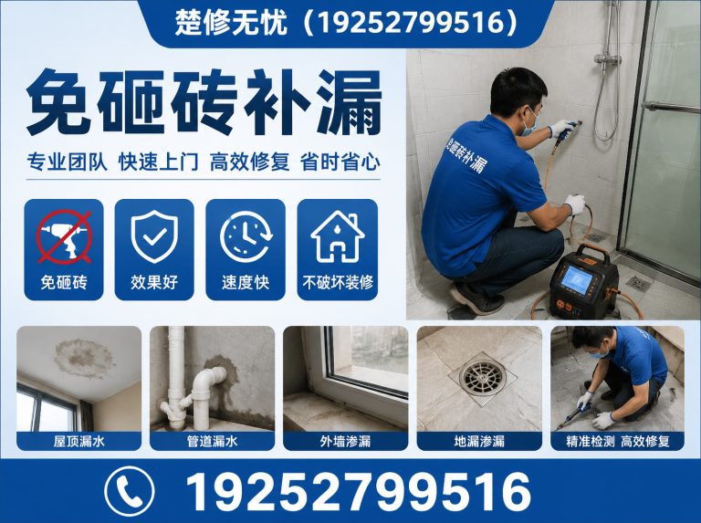 硚口区渗漏检测展示图